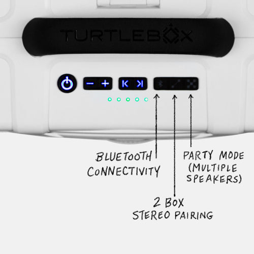 Grande Turtle Box Speaker